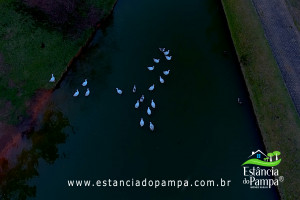 CABANHA À VENDA NO RS.00_03_20_23.Quadro033_430853435b0867b1788ed6948d9184b90a5ef2a5.jpg